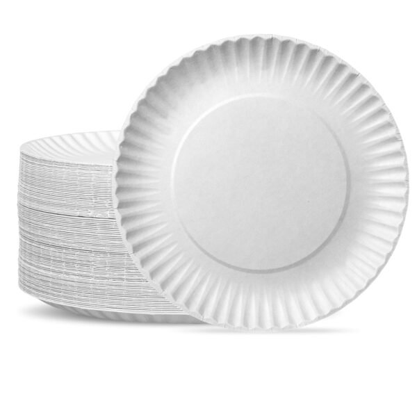 12 Paper Plates