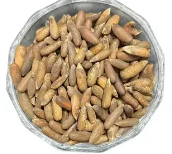 Afghan Pinewood