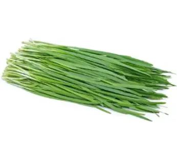 Fresh Chives (Gandana)