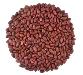 Pani Puri Ready to fry 400g